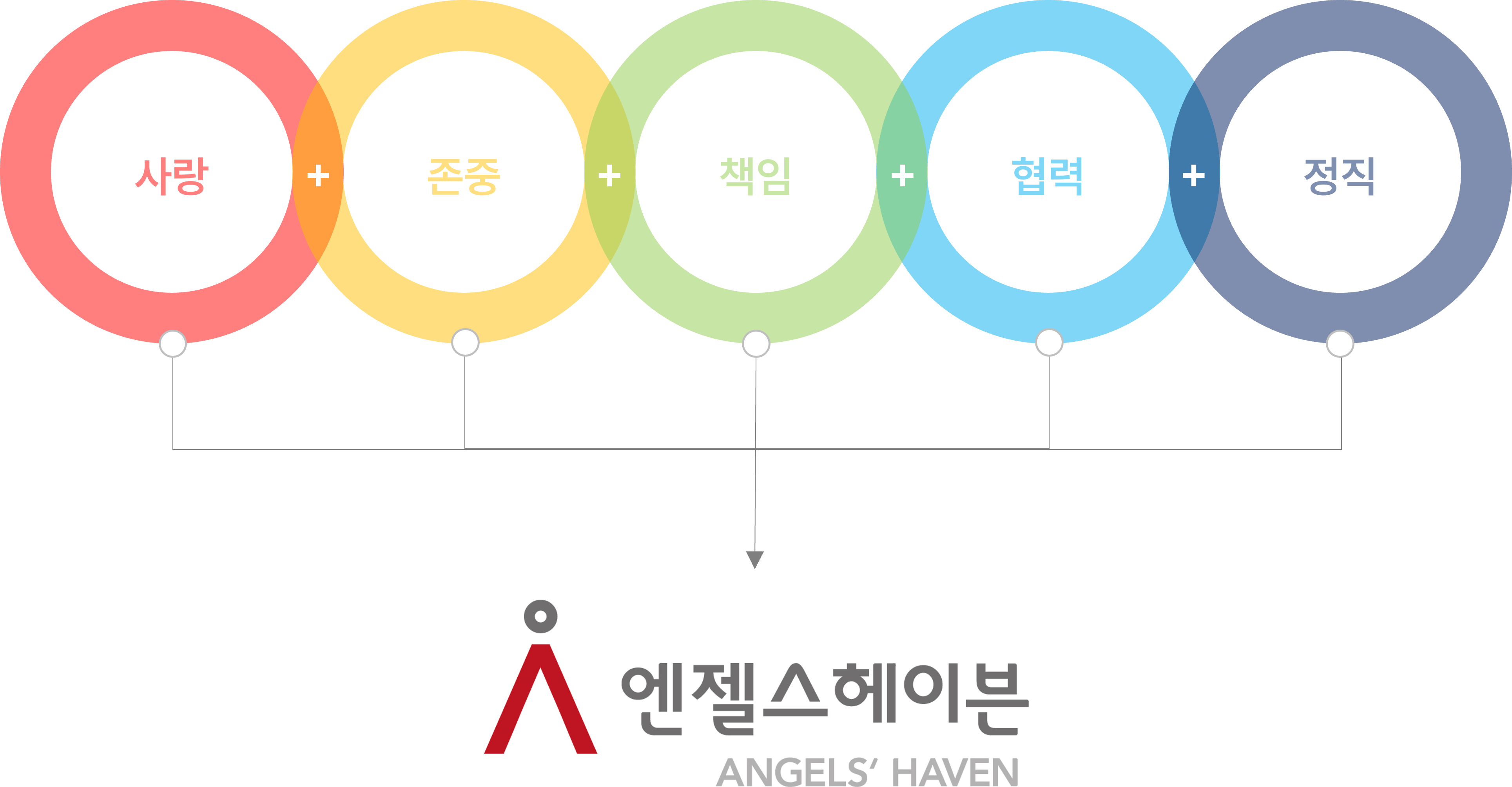 사랑, 존중, 책임, 정직, 협력 5대 가치로 섬기는 엔젤스헤이븐
